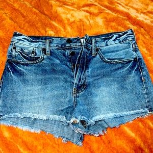 We The Free denim cut off shorts